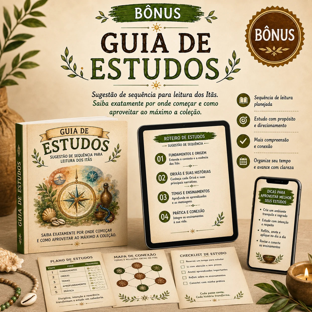 Bônus 4 - Guia de Estudos